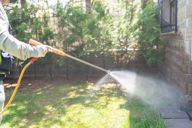 Emergency Pest Control in Wanatah, IN